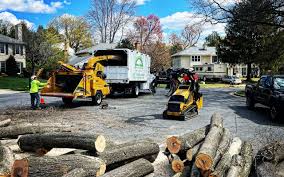 How Our Tree Care Process Works  in  Brooklyn, IA